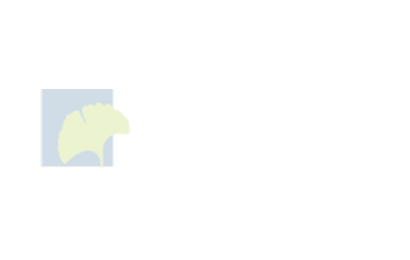 漢之光(guāng)華電商
